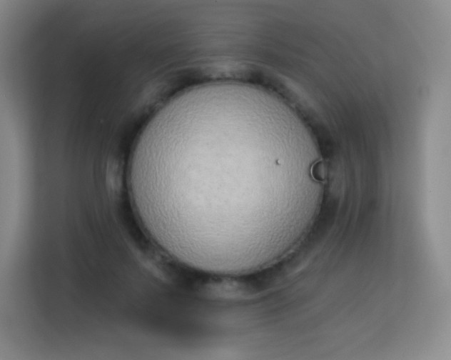 X0000113940695200910091623