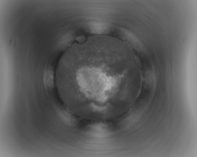 X0000113940696200910091623