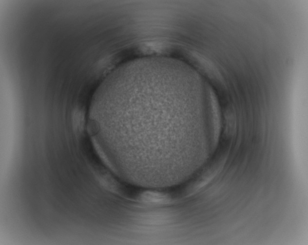 X0000113940699200910091623