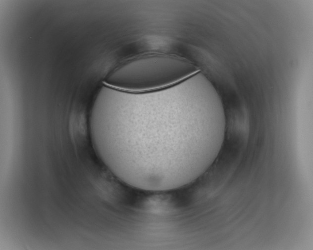 X0000113940700200910091623