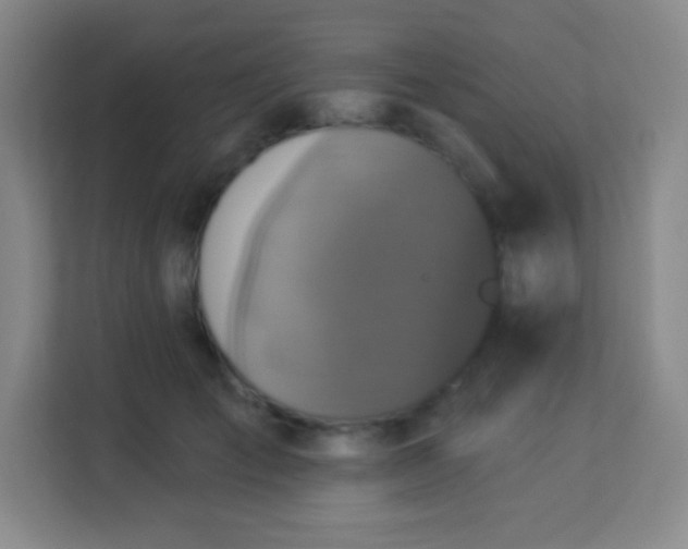 X0000113940701200910091623