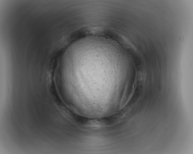 X0000113940703200910091623