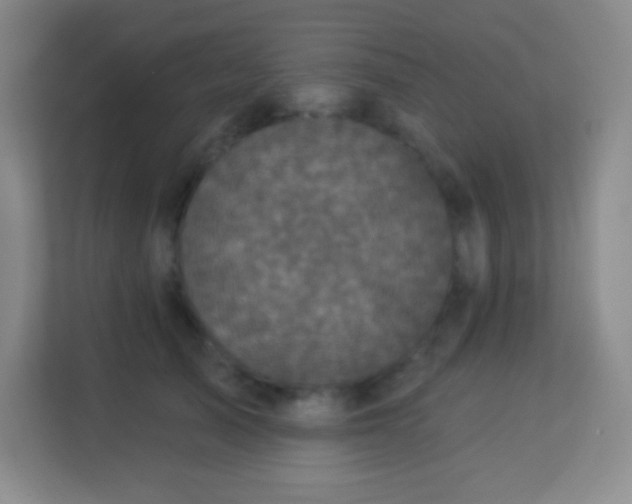 X0000113940705200910091623