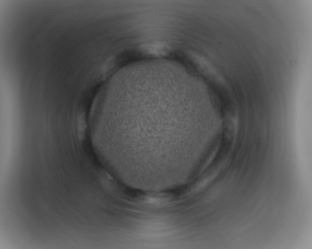 X0000113940707200910091623