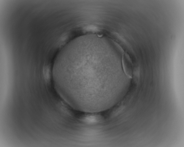 X0000113940708200910091623