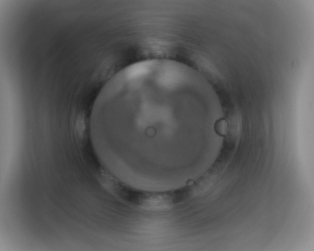 X0000113940709200910091623