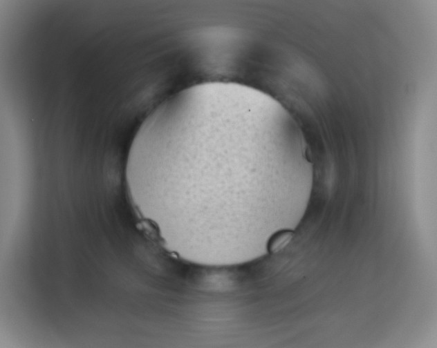 X0000113940710200910091623