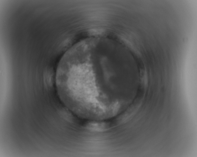 X0000113940712200910091623