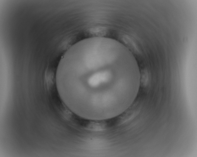 X0000113940713200910091623