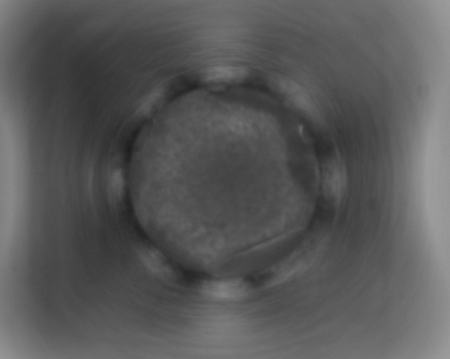 X0000113940716200910091623