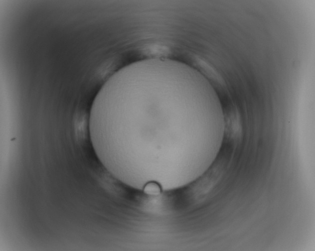 X0000113940717200910091623