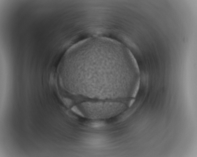 X0000113940719200910091623