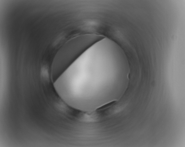 X0000113940720200910091623