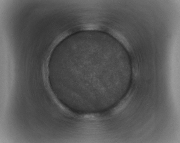 X0000113940721200910091622