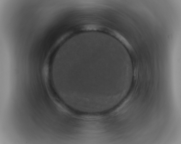 X0000113940722200910091622