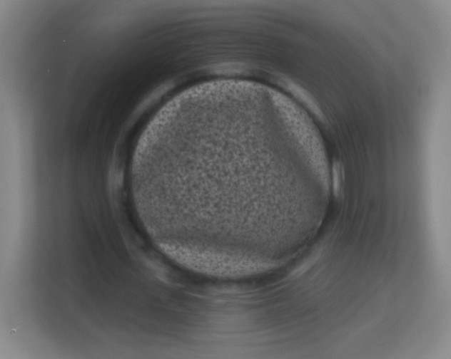 X0000113940723200910091622