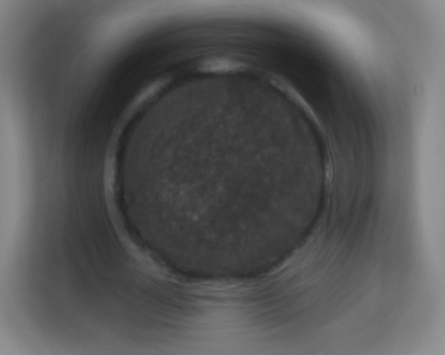 X0000113940724200910091622