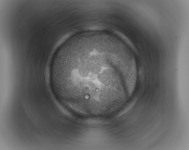 X0000113940725200910091622