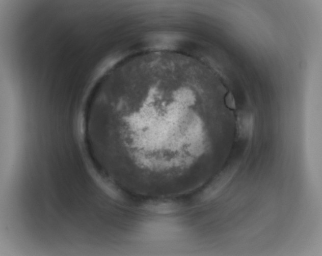 X0000113940726200910091622