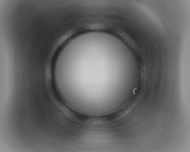 X0000113940727200910091622