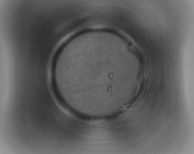 X0000113940728200910091622