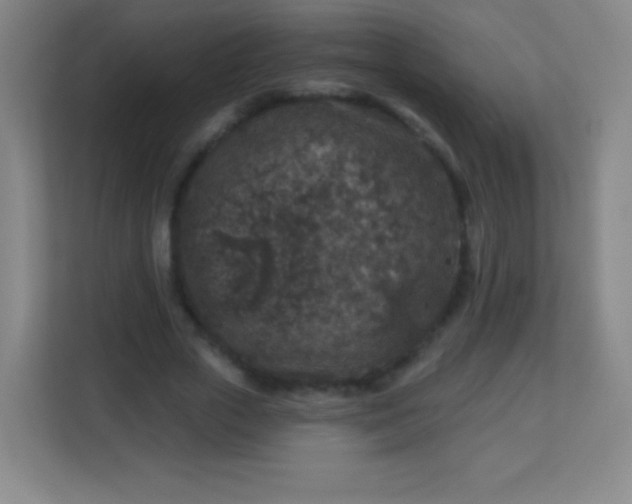 X0000113940729200910091622