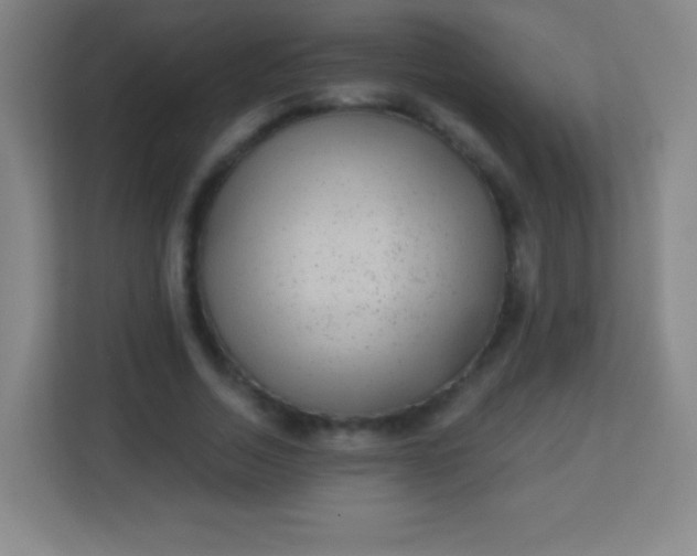 X0000113940730200910091622