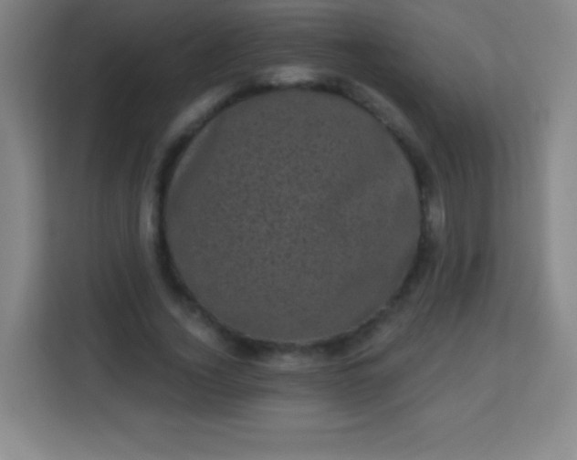 X0000113940732200910091622