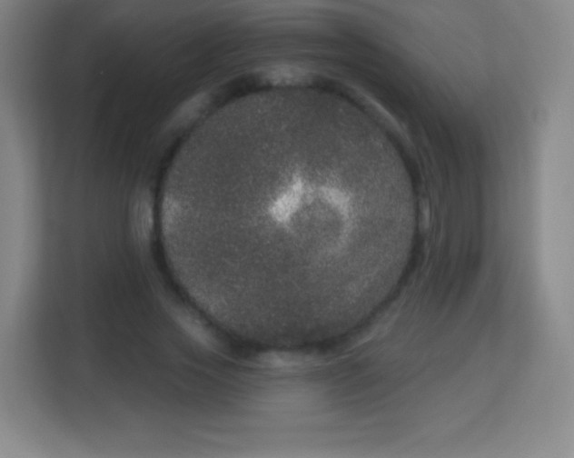 X0000113940733200910091622