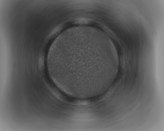 X0000113940735200910091622