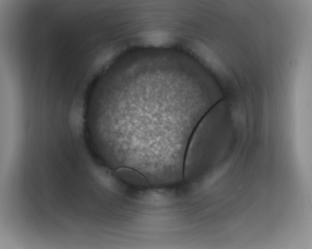 X0000113940736200910091622