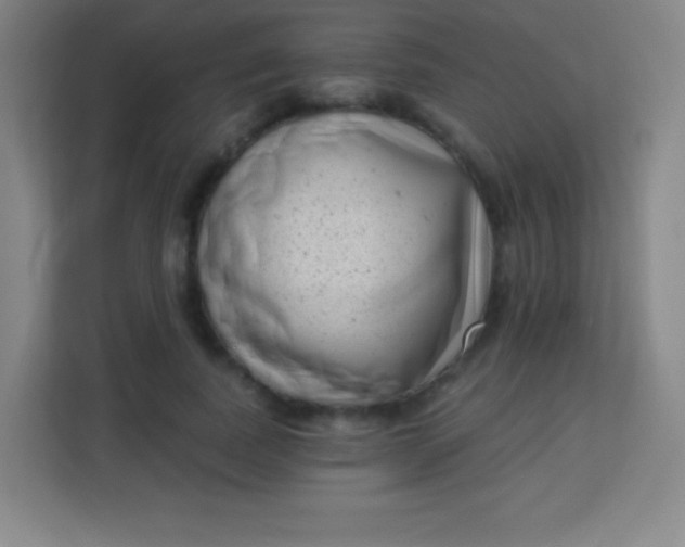 X0000113940739200910091622