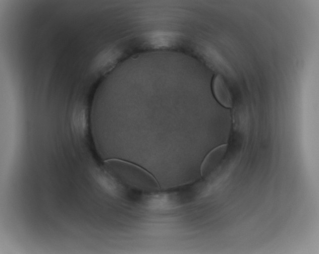 X0000113940740200910091622