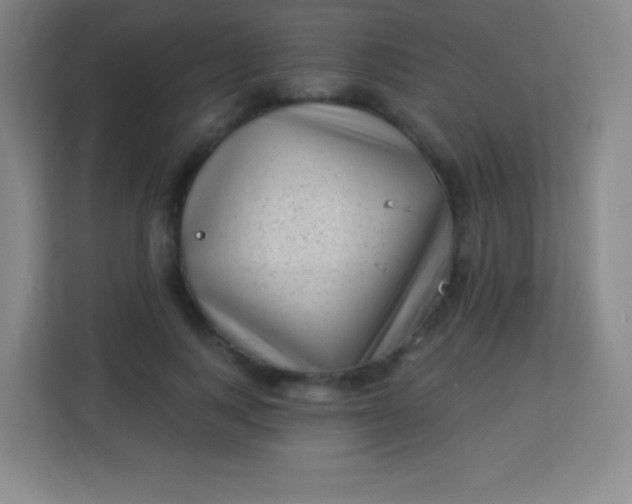 X0000113940743200910091622