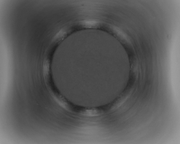 X0000113940744200910091622