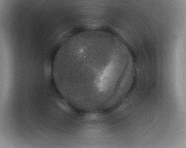 X0000113940745200910091622