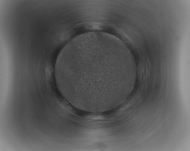 X0000113940747200910091622