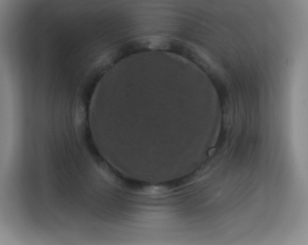 X0000113940748200910091622