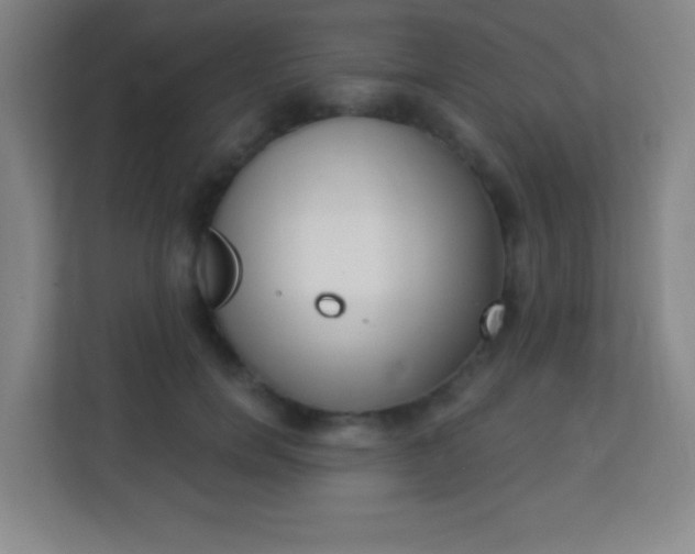 X0000113940750200910091622