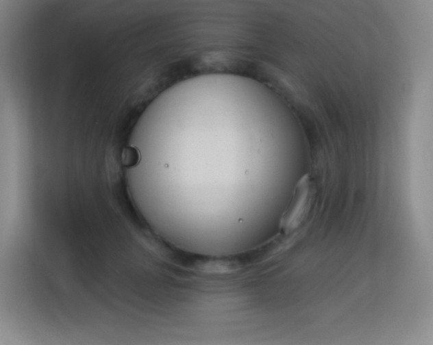 X0000113940751200910091622