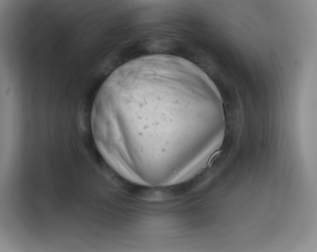 X0000113940755200910091622