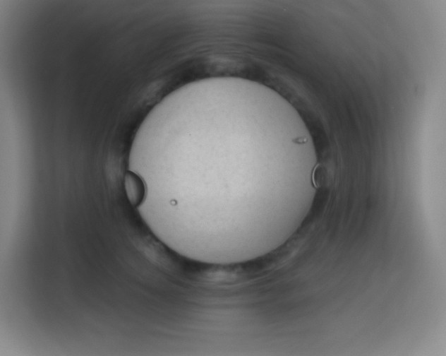 X0000113940756200910091622