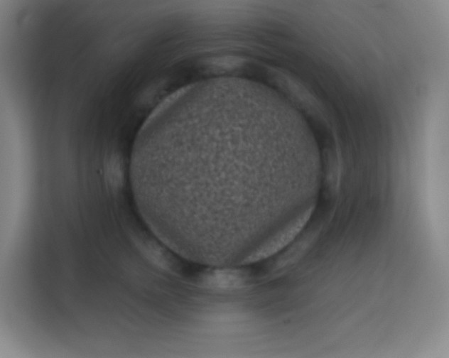 X0000113940758200910091622