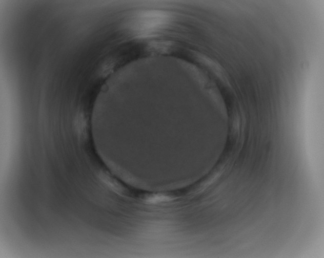 X0000113940759200910091622