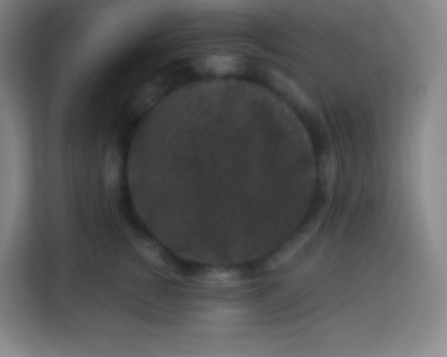 X0000113940760200910091622