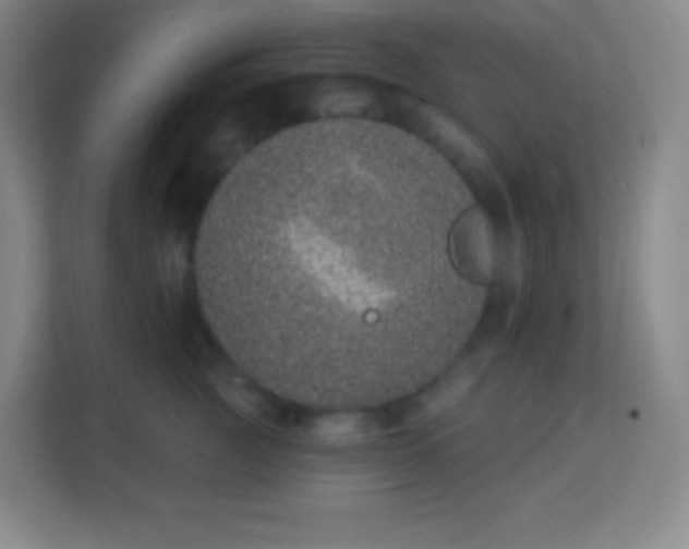 X0000113940761200910091622