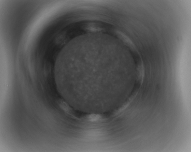 X0000113940762200910091622