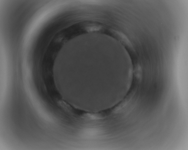 X0000113940763200910091622