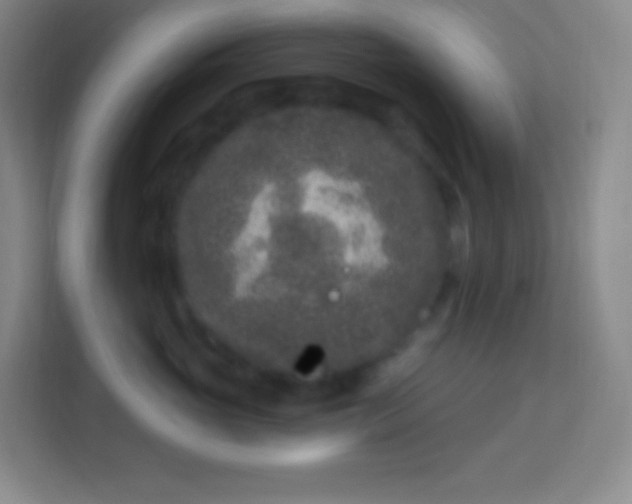 X0000113940765200910091622