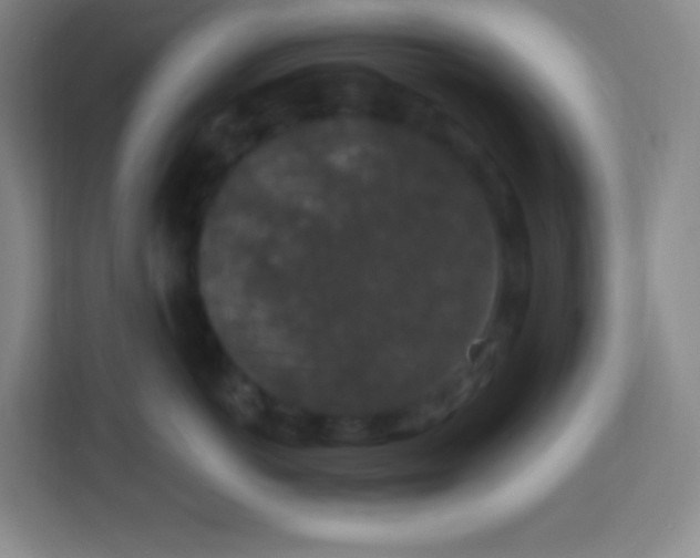 X0000113940766200910091622